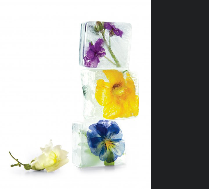 marthastewart