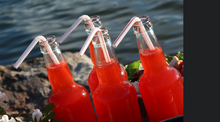piknik_3